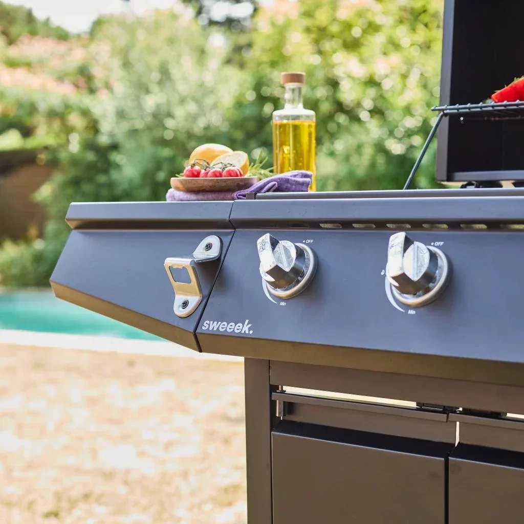 Barbecue gaz 3 brûleurs avec feu latéral et thermomètre intégré