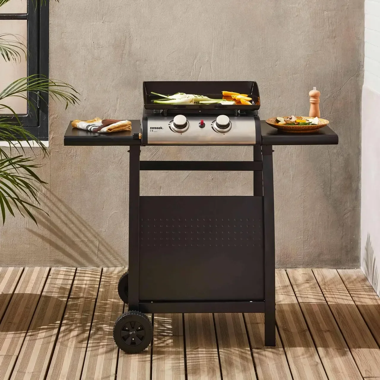 Plancha gaz inox 2 feux 5kW sur chariot avec plaque émaillée amovible