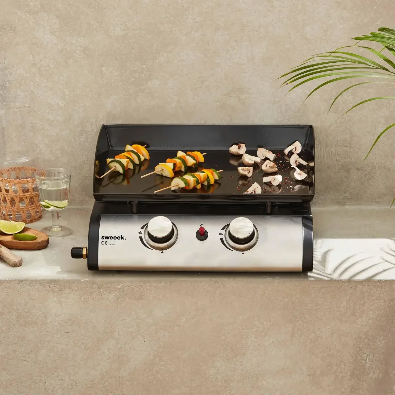 Plancha gaz inox 2 feux 5000W Porthos plaque amovible
