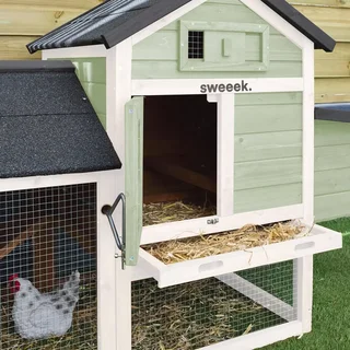 Poulailler bois sapin 3 poules avec enclos extérieur Galinette