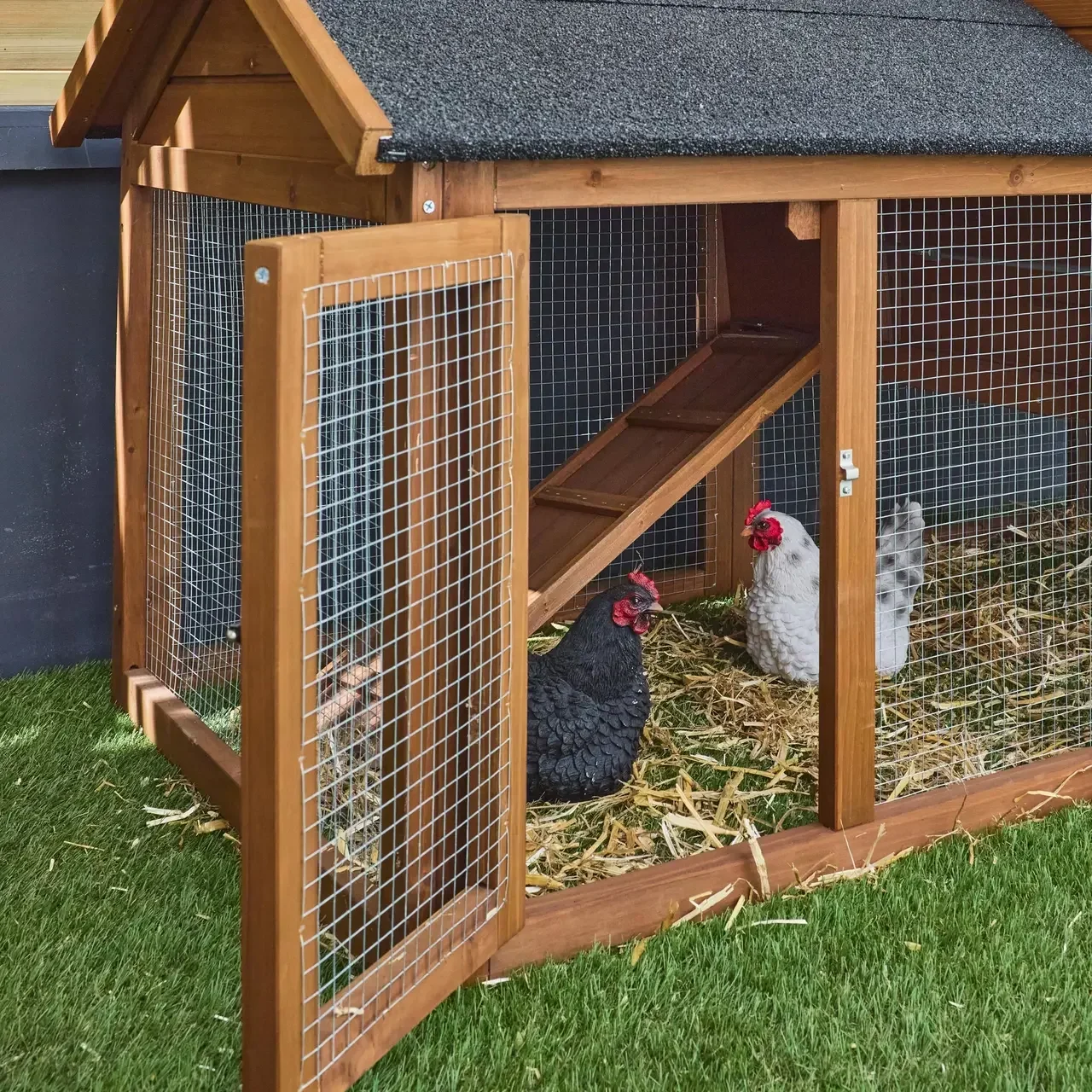 Poulailler bois sapin 3 poules enclos extérieur Galinette