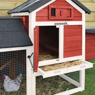 Poulailler bois sapin 3 poules avec enclos extérieur Galinette