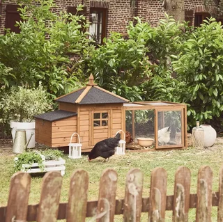 Poulailler bois sapin 4 poules avec enclos et pondoir intégré