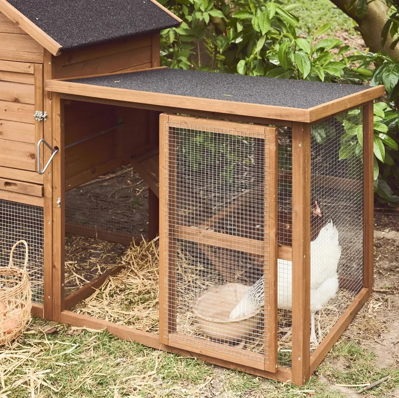 Pollaio in legno di abete con recinto per 4 galline Geline - nido doppio e cassetto escrementi