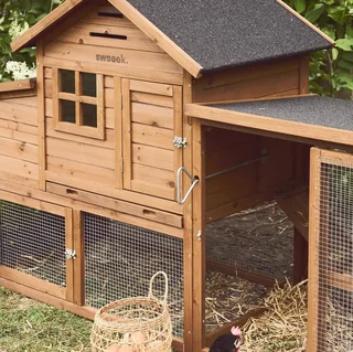 Pollaio in legno di abete con recinto per 4 galline Geline - nido doppio e cassetto escrementi