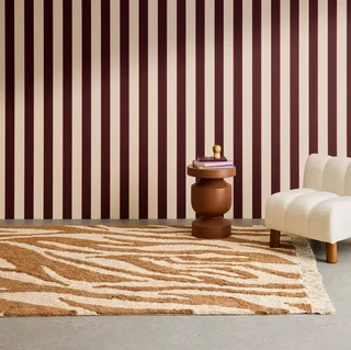 Red Brick Zebra Print Cotton Fringe Living Room Rug Josh
